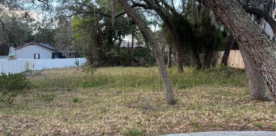 Terreno en Tarpon Springs, Florida № 2108646