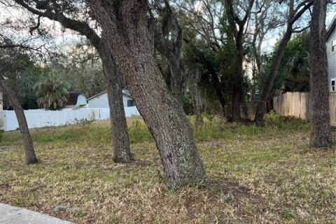Terreno en venta en Tarpon Springs, Florida № 2108646 - foto 3