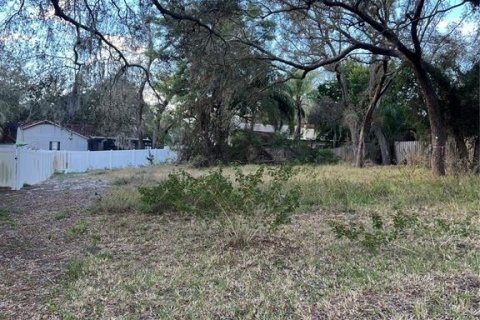 Terreno en venta en Tarpon Springs, Florida № 2108646 - foto 4