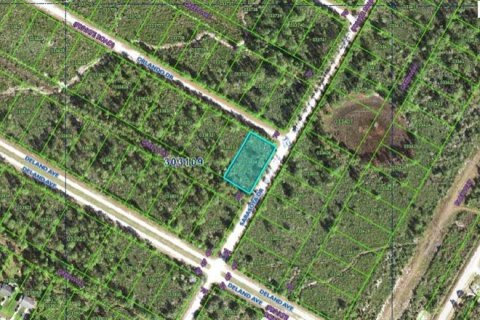 Land in Indian lake estates, Florida № 1534100 - photo 1