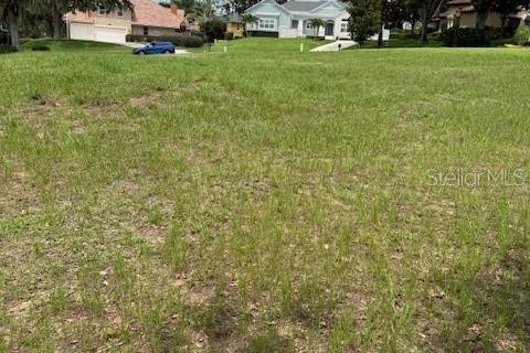 Terreno en venta en Clermont, Florida № 1787496 - foto 9