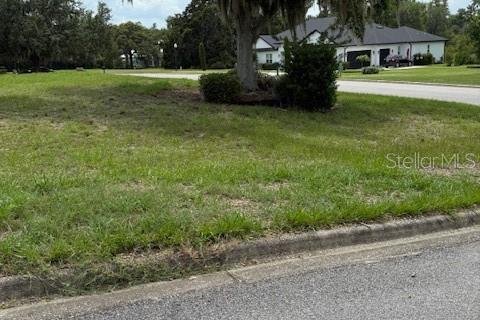 Terreno en venta en Clermont, Florida № 1787496 - foto 3