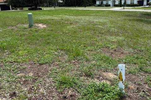 Terreno en venta en Clermont, Florida № 1787496 - foto 2