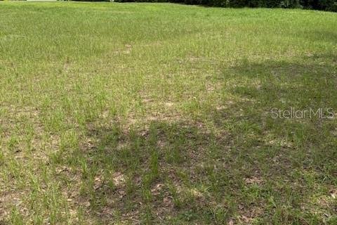 Terreno en venta en Clermont, Florida № 1787496 - foto 5