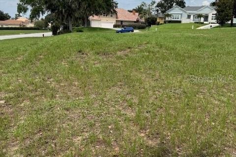 Terreno en venta en Clermont, Florida № 1787496 - foto 8