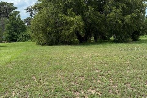 Terreno en venta en Clermont, Florida № 1787496 - foto 11