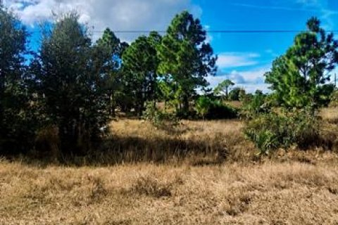 Land in Lehigh Acres, Florida № 2225933 - photo 2