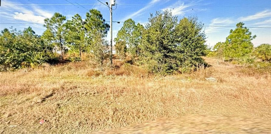 Land in Lehigh Acres, Florida № 2225933