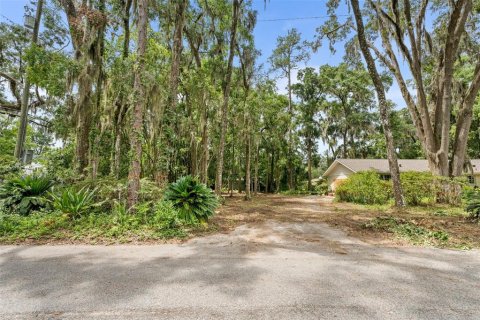 Land in Gainesville, Florida № 1824903 - photo 5