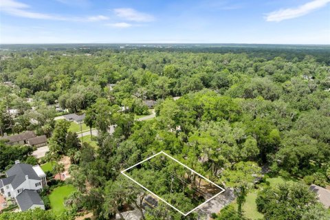 Land in Gainesville, Florida № 1824903 - photo 6