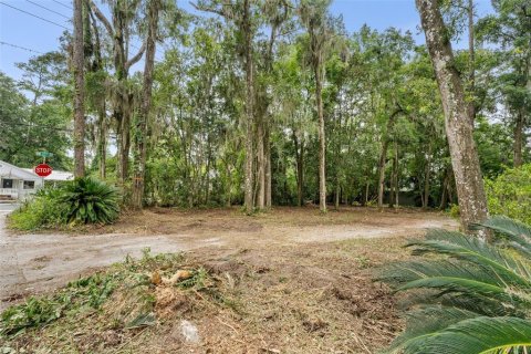 Land in Gainesville, Florida № 1824903 - photo 3