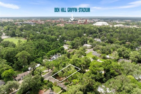 Land in Gainesville, Florida № 1824903 - photo 1