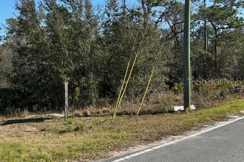 Terreno en venta en Homosassa, Florida № 1027619 - foto 8