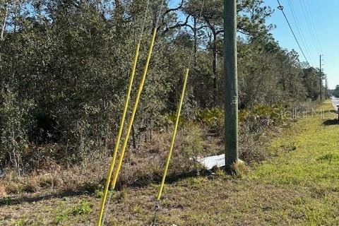 Terreno en venta en Homosassa, Florida № 1027619 - foto 3