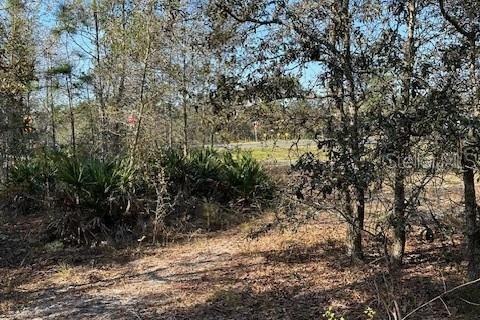 Terreno en venta en Homosassa, Florida № 1027619 - foto 7