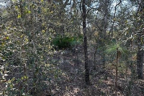 Terreno en venta en Homosassa, Florida № 1027619 - foto 5