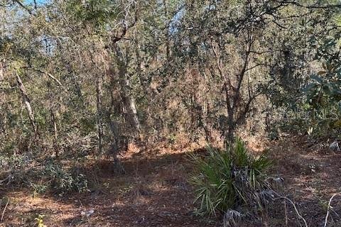 Terreno en venta en Homosassa, Florida № 1027619 - foto 6