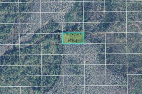 Land in Orlando, Florida № 2163619 - photo 3