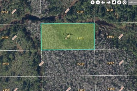 Land in Orlando, Florida № 2163619