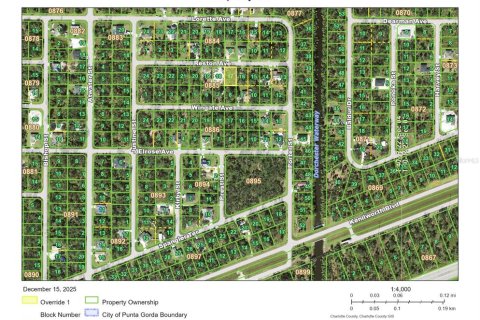 Land in Port Charlotte, Florida № 2163707