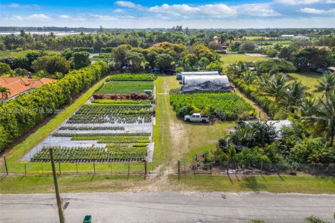 Купить земельный участок в Хомстед, Флорида № 1993959 - фото 15