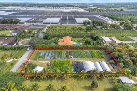 Купить земельный участок в Хомстед, Флорида № 1993959 - фото 3