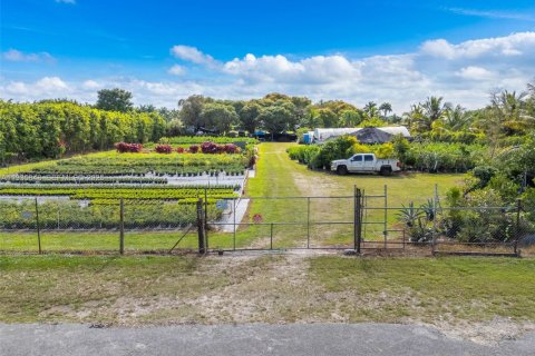 Купить земельный участок в Хомстед, Флорида № 1993959 - фото 20