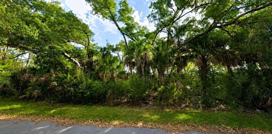 Land in Port Charlotte, Florida № 2219082