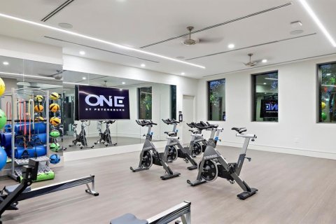 Condominio en alquiler en Saint Petersburg, Florida, 2 dormitorios, 175.96 m2 № 1911749 - foto 10