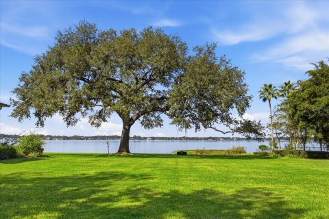Villa ou maison à vendre à Belle Isle, Floride: 6 chambres, 725.75 m2 № 2406714 - photo 15