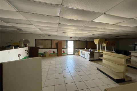 Immobilier commercial à vendre à Leesburg, Floride: 232.35 m2 № 1593449 - photo 6