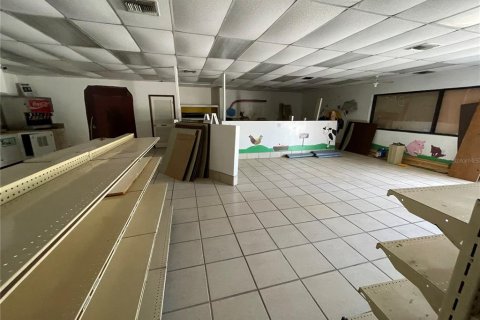 Immobilier commercial à vendre à Leesburg, Floride: 232.35 m2 № 1593449 - photo 4