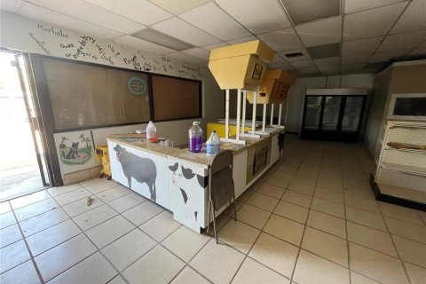Immobilier commercial à vendre à Leesburg, Floride: 232.35 m2 № 1593449 - photo 3