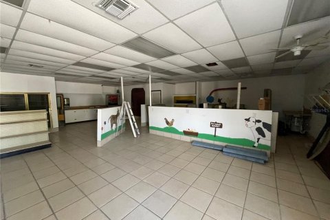 Immobilier commercial à vendre à Leesburg, Floride: 232.35 m2 № 1593449 - photo 5
