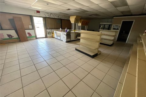 Immobilier commercial à vendre à Leesburg, Floride: 232.35 m2 № 1593449 - photo 7
