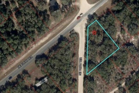Land in Williston, Florida № 2158737