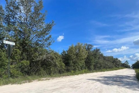 Land in Williston, Florida № 2158737 - photo 2
