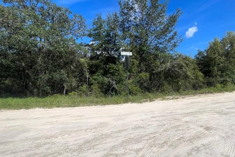 Land in Williston, Florida № 2158737 - photo 3