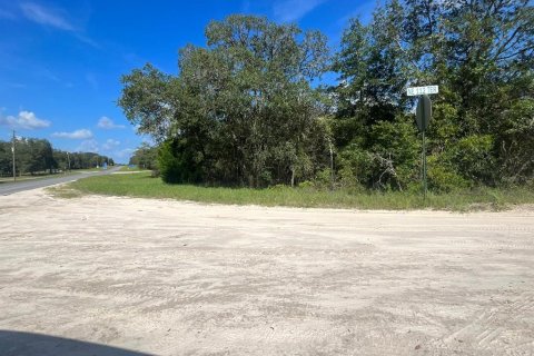 Land in Williston, Florida № 2158737 - photo 4