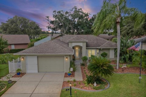 Villa ou maison à New Port Richey, Floride 2 chambres, 169.08 m2 № 2424335