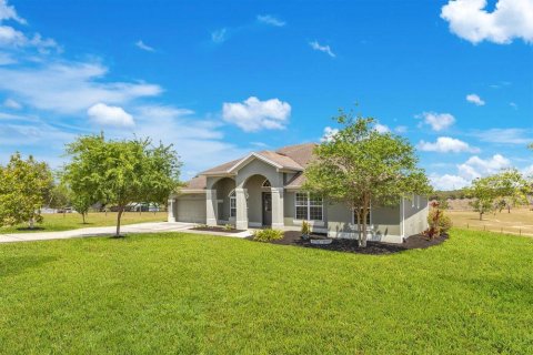 House in Winter Garden, Florida 6 bedrooms, 364.36 sq.m. № 1649191 - photo 4
