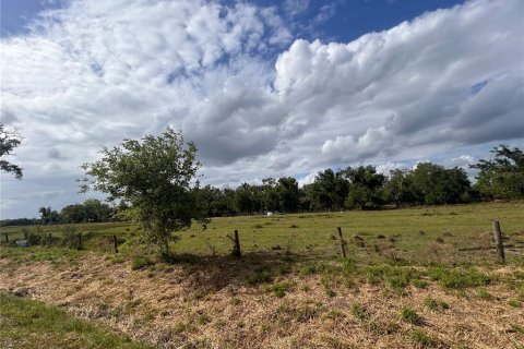 Land in Arcadia, Florida № 2106041 - photo 6