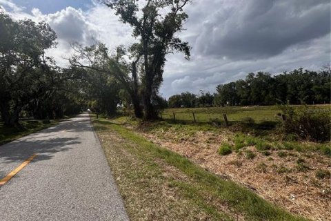 Land in Arcadia, Florida № 2106041 - photo 4