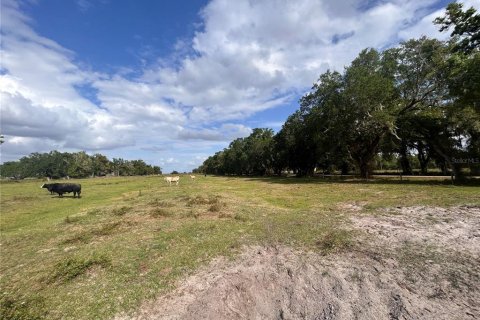 Land in Arcadia, Florida № 2106041 - photo 7