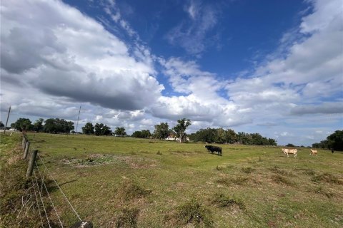 Land in Arcadia, Florida № 2106041 - photo 2