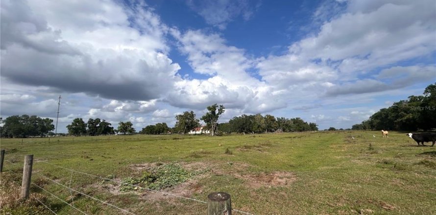 Land in Arcadia, Florida № 2106041