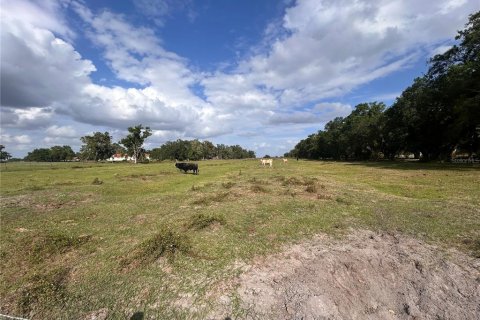 Land in Arcadia, Florida № 2106041 - photo 8