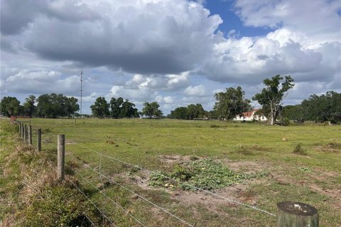 Land in Arcadia, Florida № 2106041 - photo 3