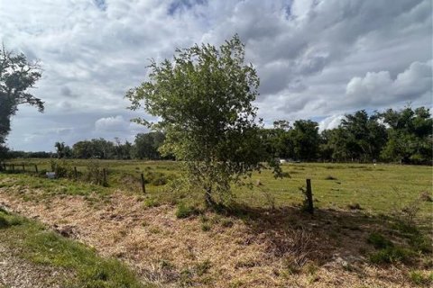 Land in Arcadia, Florida № 2106041 - photo 5