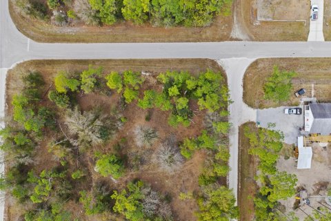 Land in Punta Gorda, Florida № 2164781 - photo 2